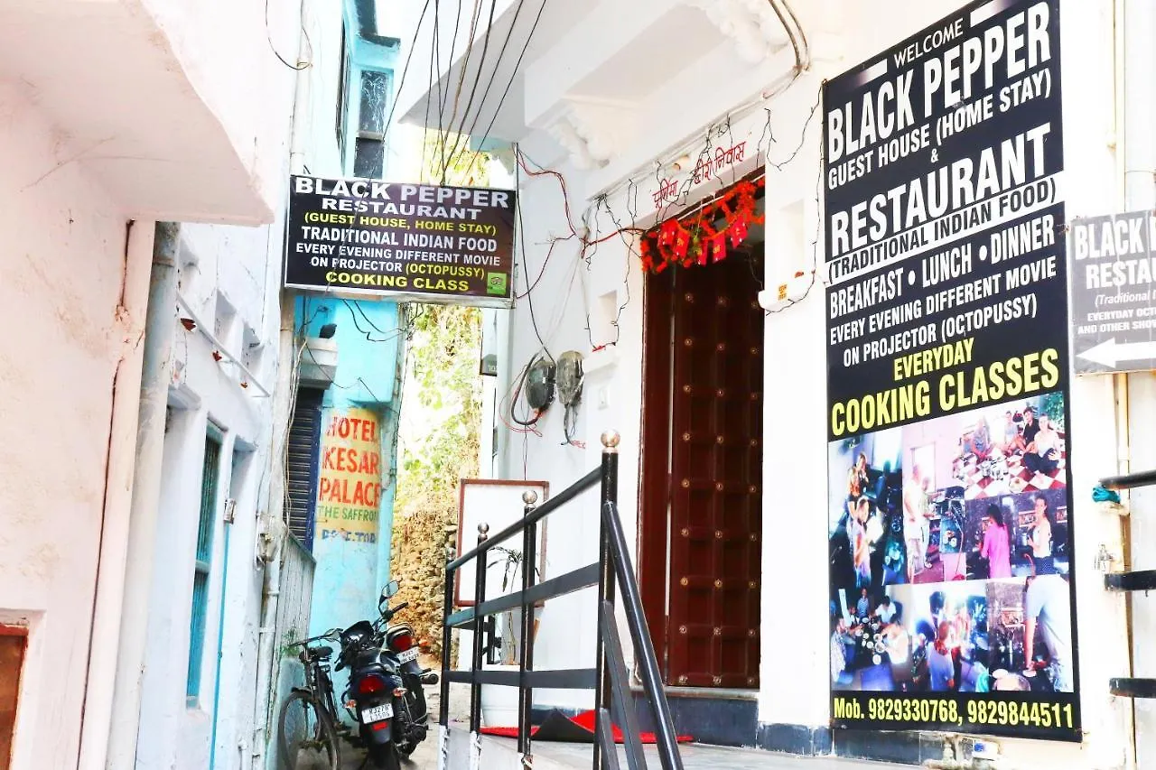 Homestay Black Pepper Home Stay Udaipur India